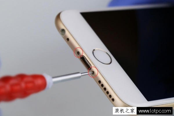 苹果iphone 6拆机换屏教程 苹果iphone6手机更换屏幕图文教程