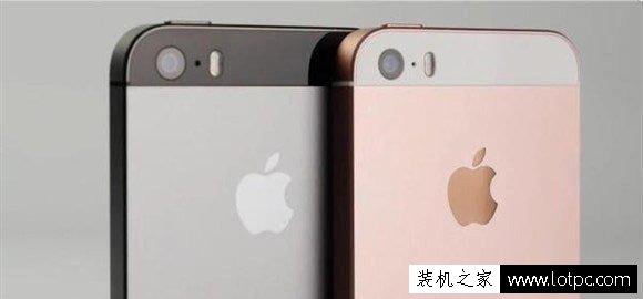 苹果iPhoneSE如何辨别真假？如何鉴别iPhoneSE是不是5s或5改装的
