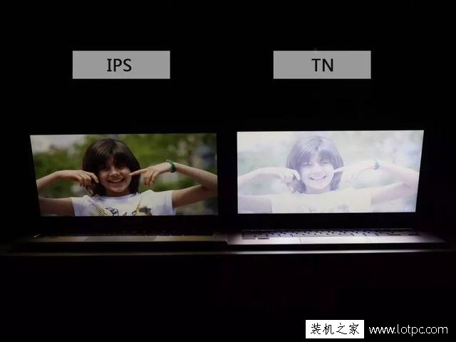 笔记本电脑IPS屏和TN屏有什么区别？IPS屏和TN屏哪个好？