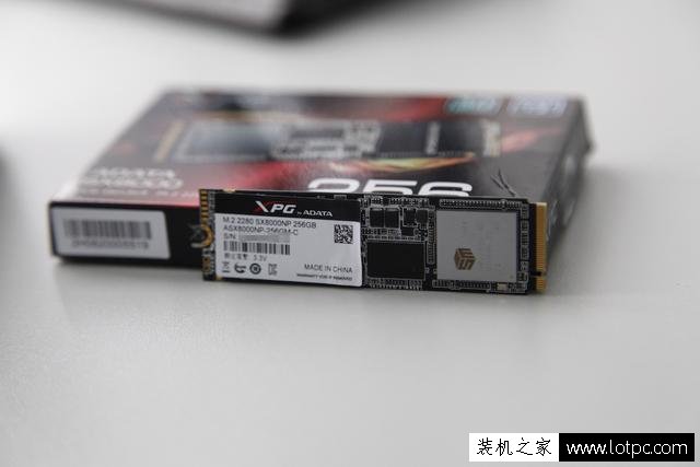 威刚 SX8000 M.2 固态硬盘性能怎么样？威刚 SX8000 M.2 SSD评测