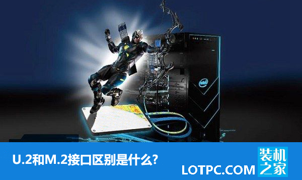 U.2和M.2接口区别是什么 M.2和U.2接口优缺点对比