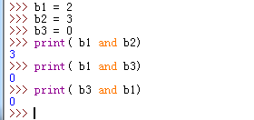 Python中有数字参与的逻辑与运算