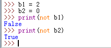 Python中有数字参与的逻辑非运算
