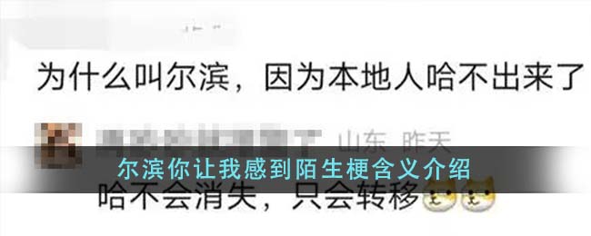 “尔滨你让我感到陌生”是什么梗？在这个冬天哈尔滨旅游火了！