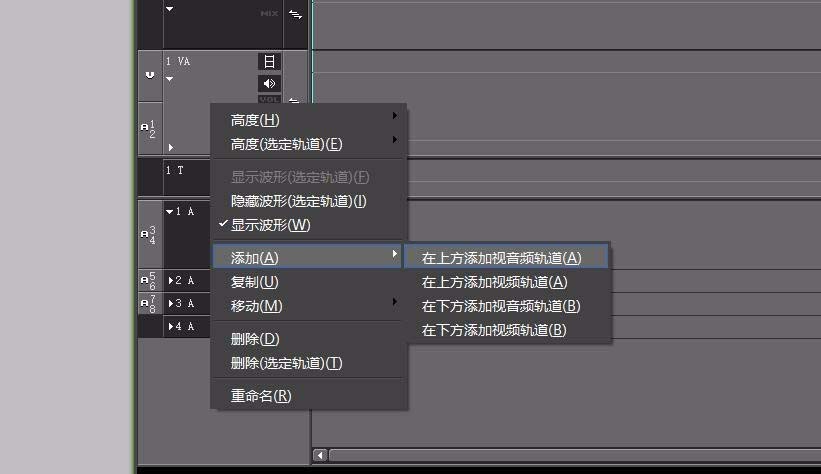 edius,视频,轨道
