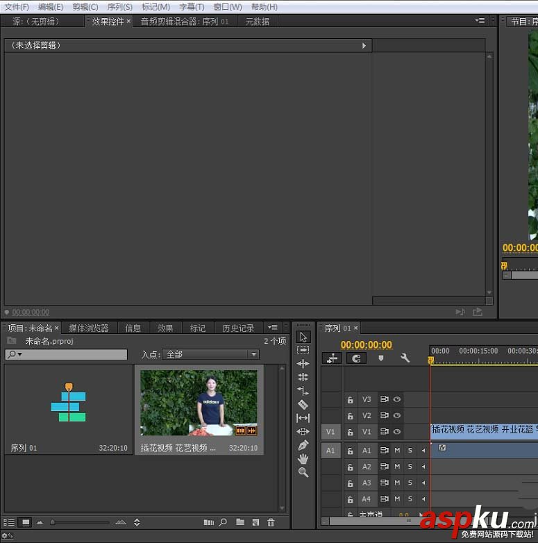 premiere,视频