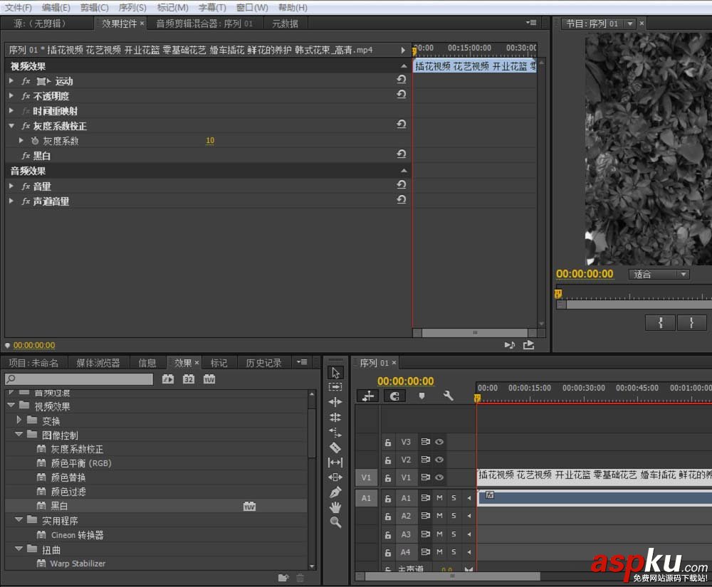 premiere,视频