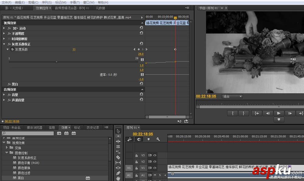 premiere,视频