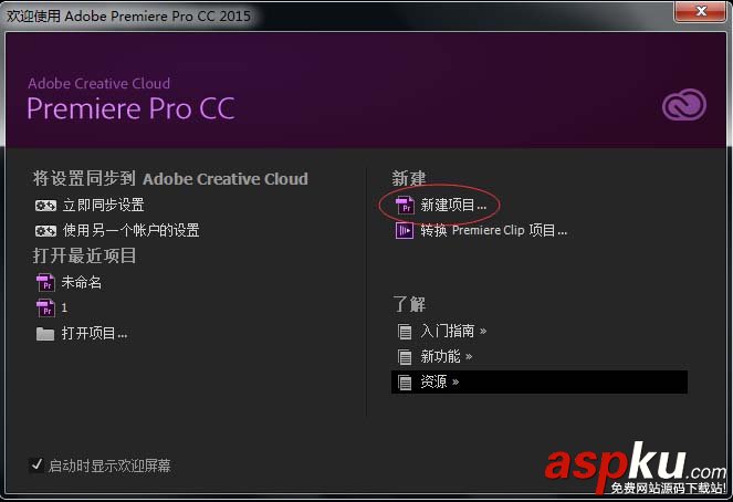 Premiere,视频,序列