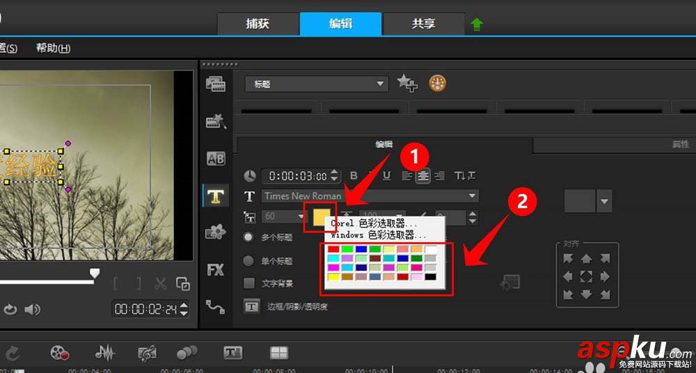 会声会影,文字