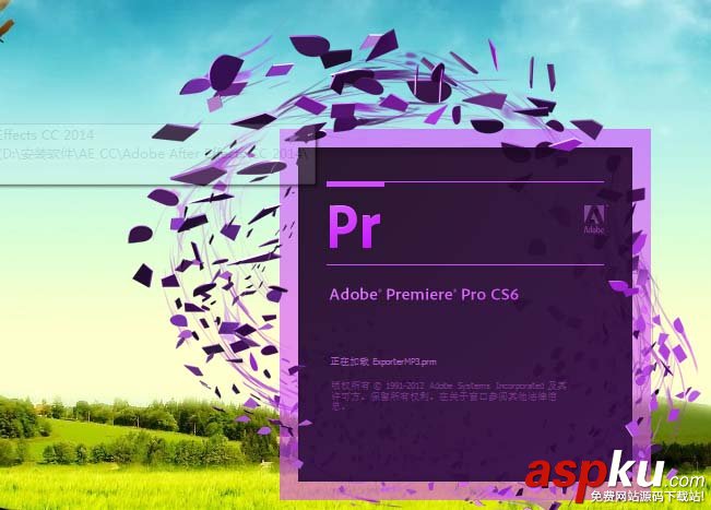 premiere,项目