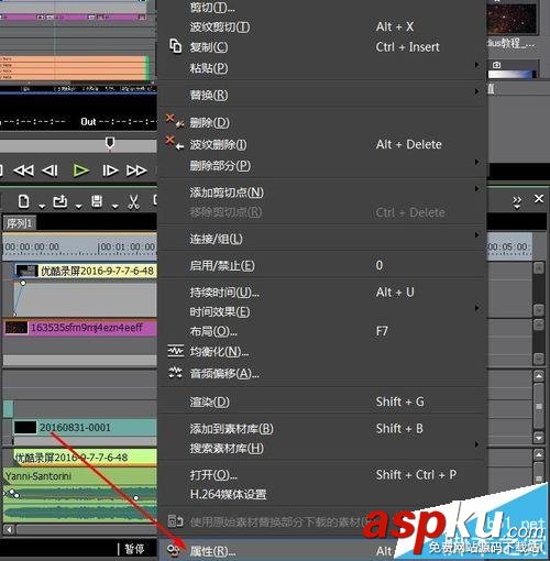 Edius,视频