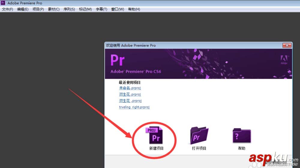 premiere,视频,字幕