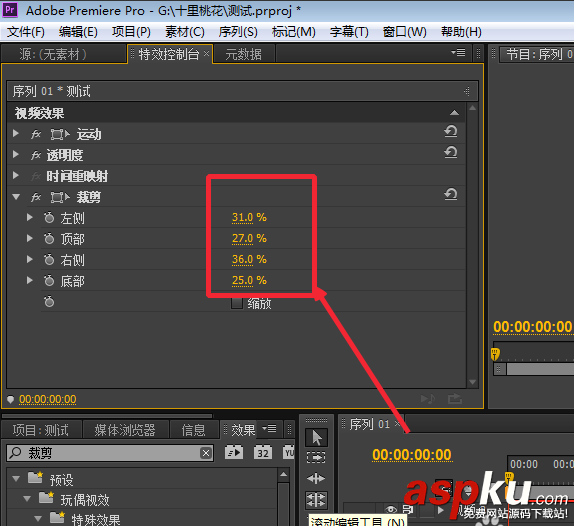 premiere,视频