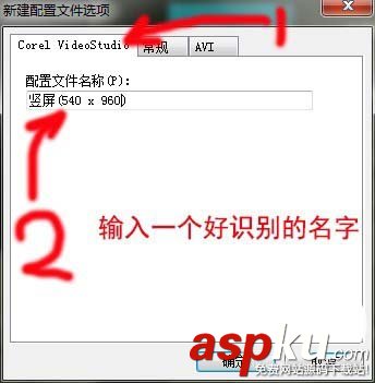 会声会影,视频