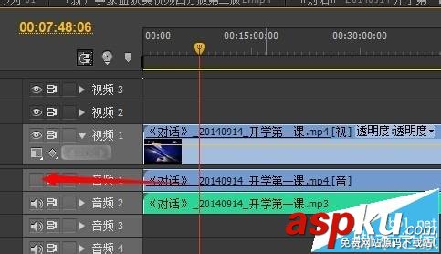 premiere,视频