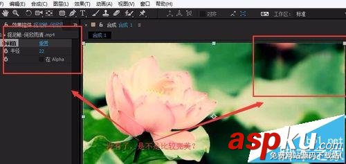 水印,AE,视频