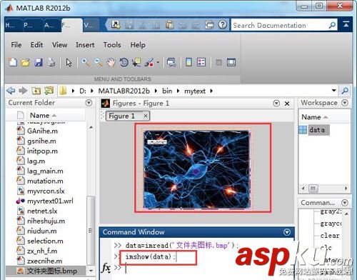 matlab,图像,灰度化