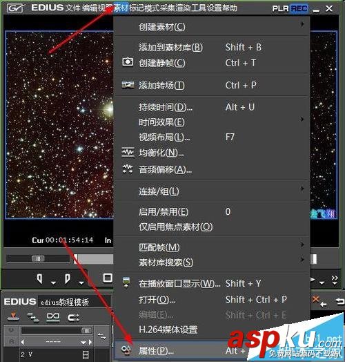 Edius,视频