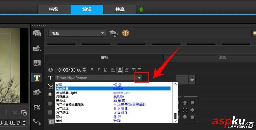 会声会影,文字