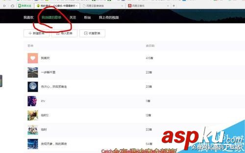 网易云音乐,歌单