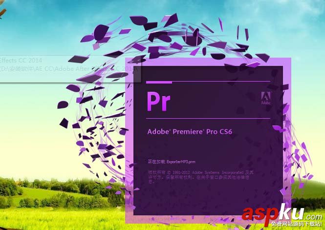 Premiere,预览框,视频