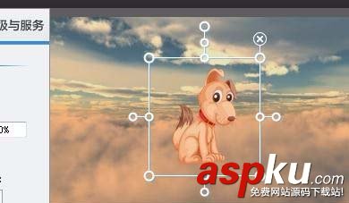 爱剪辑,图片