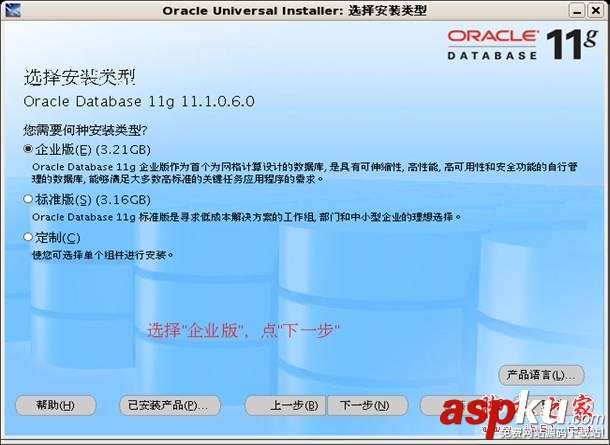 Oracle,11g