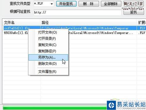临时文件分类搜索 轻松淘尽IE缓存资源