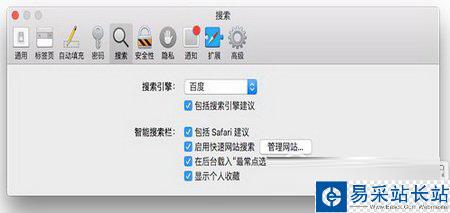 safari地址栏无法搜索怎么办 safari地址栏搜索不了解决方法2