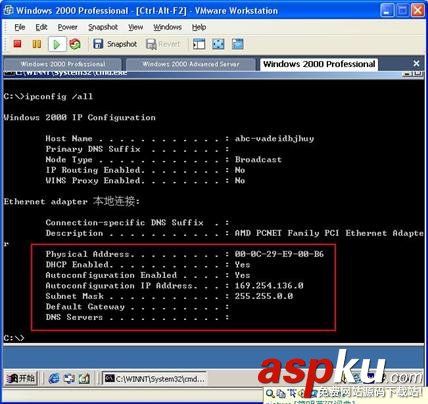 VMware,英文版