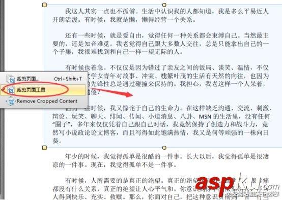 迅捷pdf编辑器,pdf编辑器