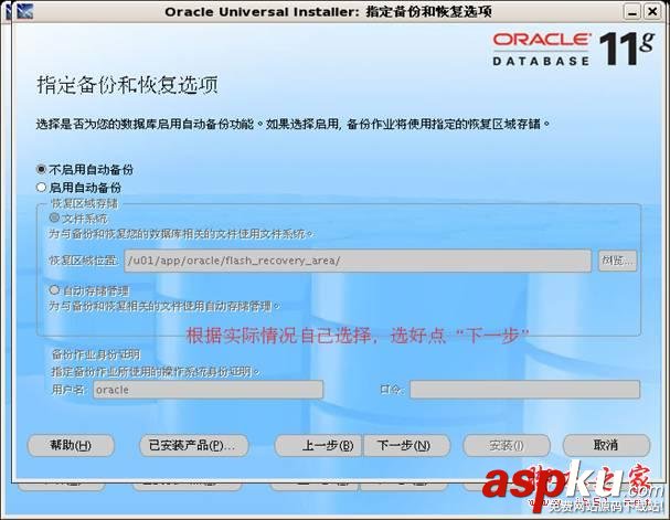 Oracle,11g