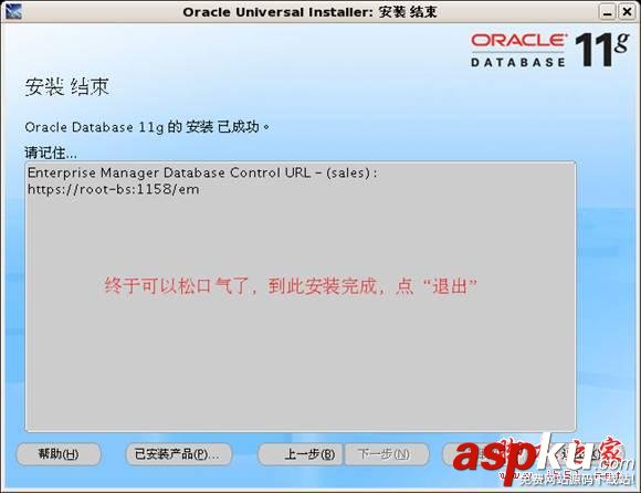 Oracle,11g