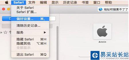 safari地址栏无法搜索怎么办 safari地址栏搜索不了解决方法1