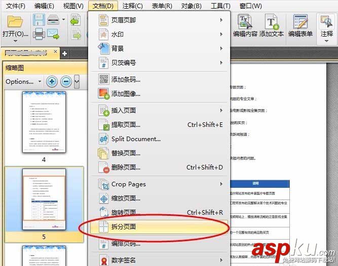 PDF