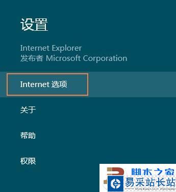 Metro IE10的Internet选项