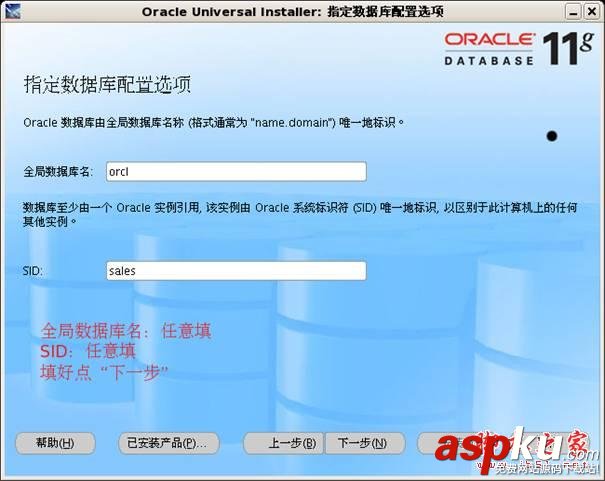 Oracle,11g