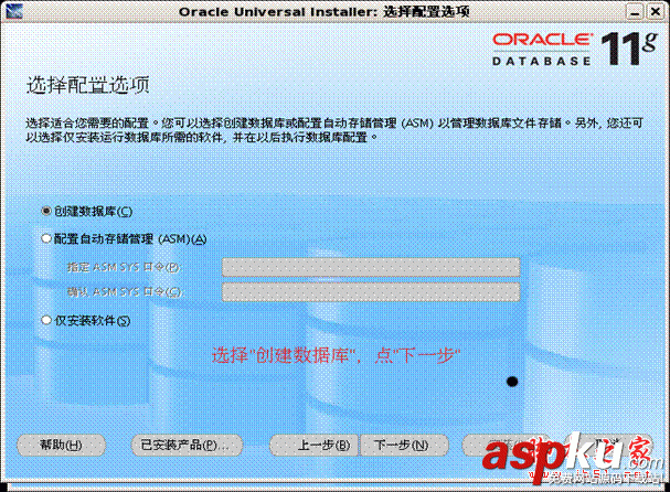Oracle,11g
