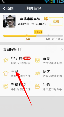 我的黄钻