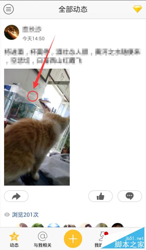 手机QQ空间评论涂鸦在哪里打开?评论涂鸦怎么用?