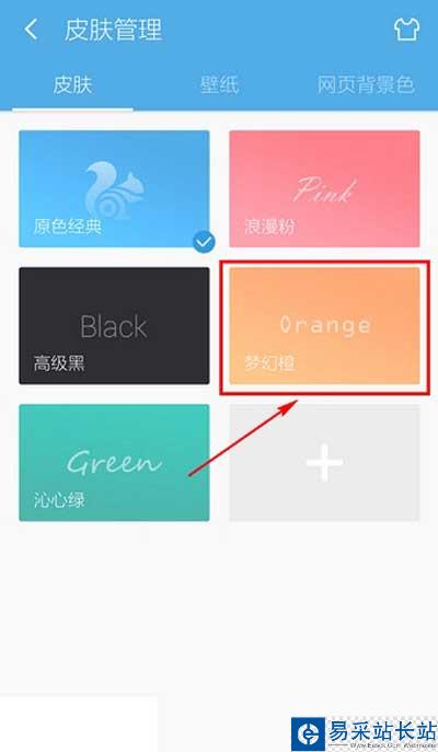 选择其他皮肤