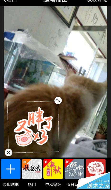 手机QQ空间评论涂鸦在哪里打开?评论涂鸦怎么用?