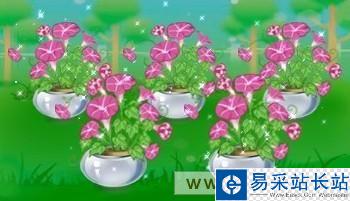 QQ炫舞怎么升级快