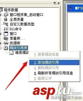 易语言,皮肤
