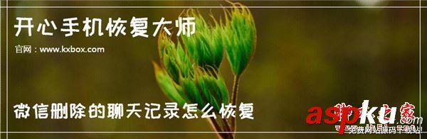 微信聊天记录删除还原,微信聊天记录恢复器