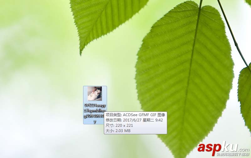 微博,微信,动图