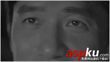 朋友圈广告