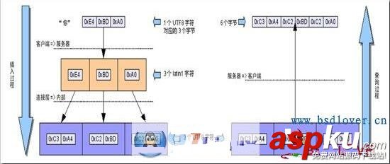 MySQL,乱码