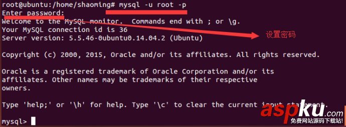 Ubuntu,MySQL